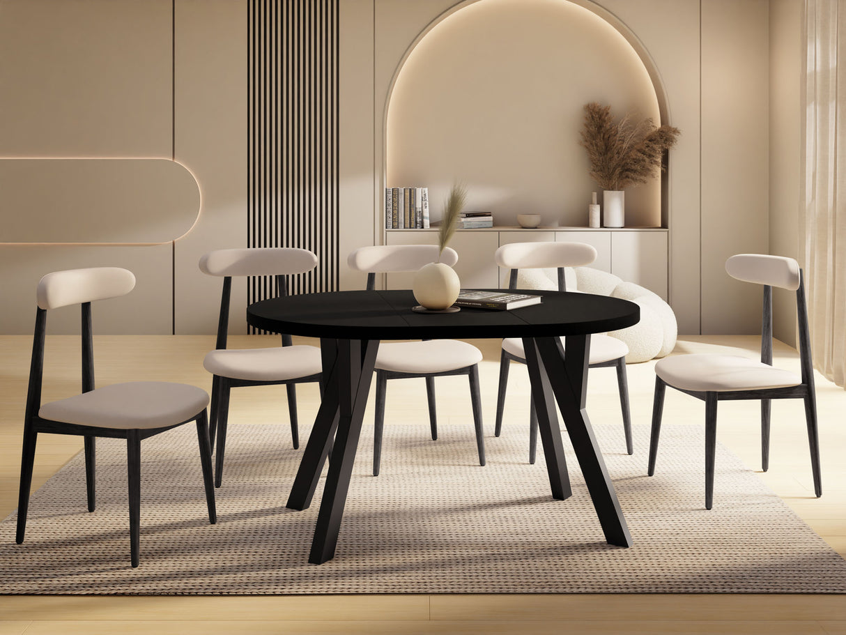 2f18e43df618e87a1c274cebc91b6716a96b0539_czarny