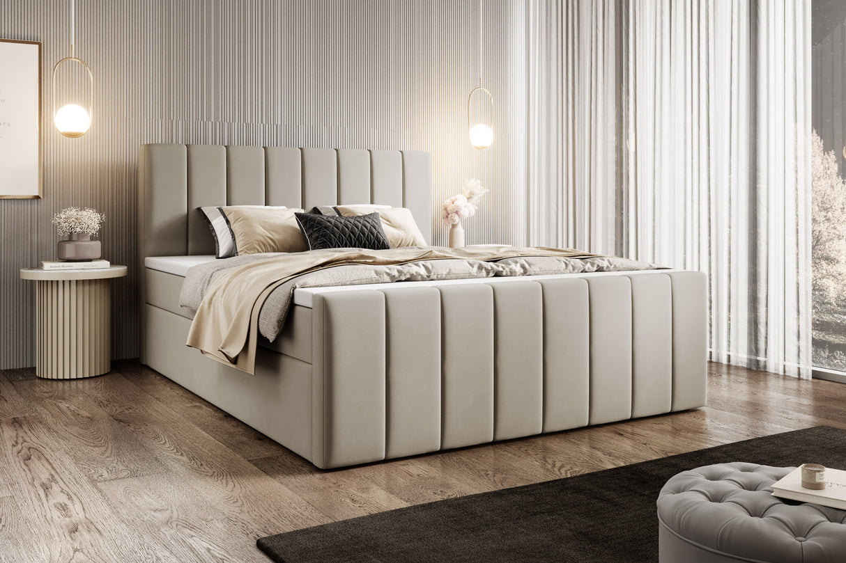 Boxspringbett Avelio
