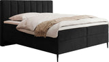 6ef8beedd4cdeb2e9faa40239df3885f17e26517_pack_dream_velvet_202.12