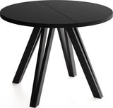 a9195c3f304fb24911b32e13f011f7e4144ddce1_CZARNY