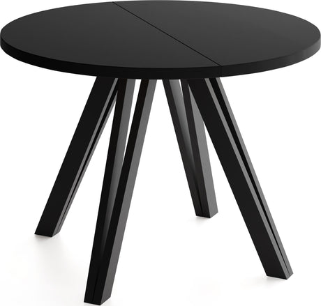 a9195c3f304fb24911b32e13f011f7e4144ddce1_CZARNY